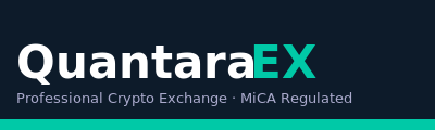 QuantaraEx Logo